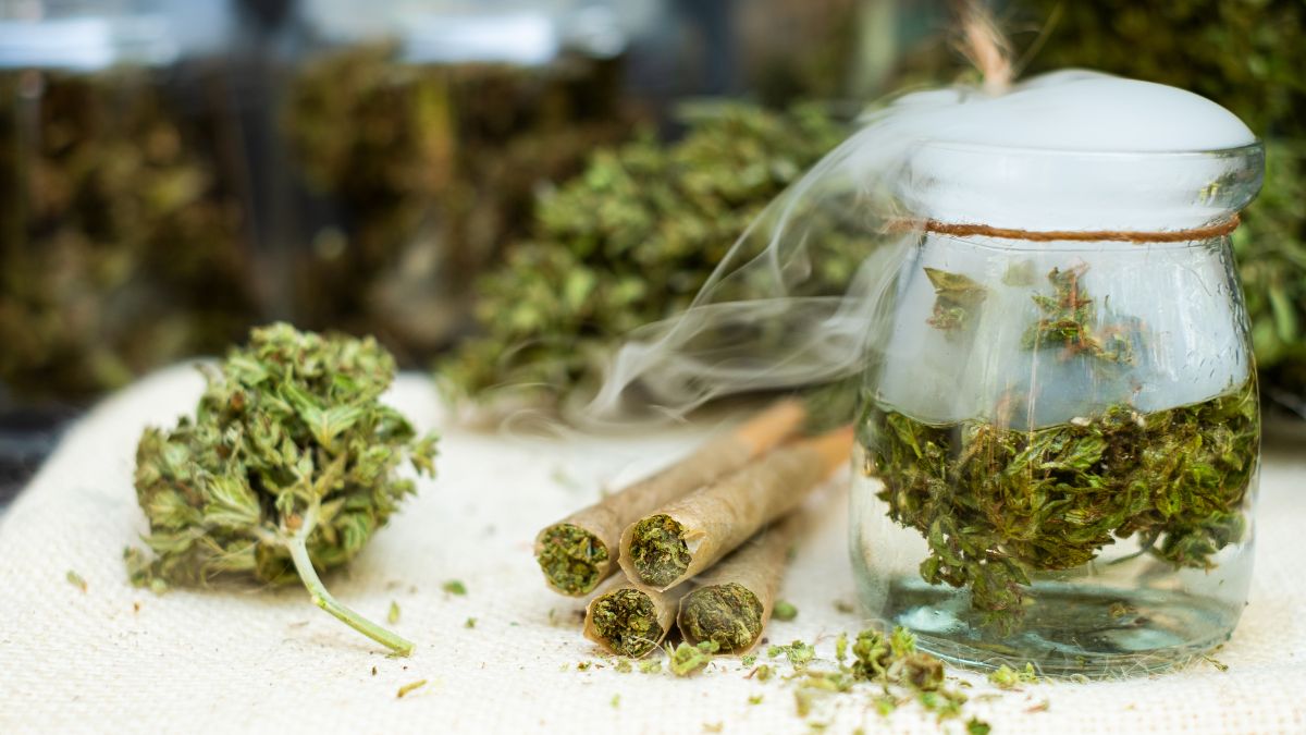 Weed